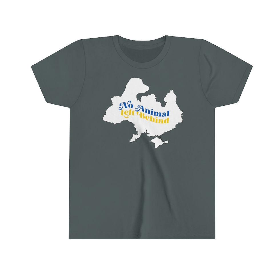 Thumbnail: Youth Short Sleeve Tee