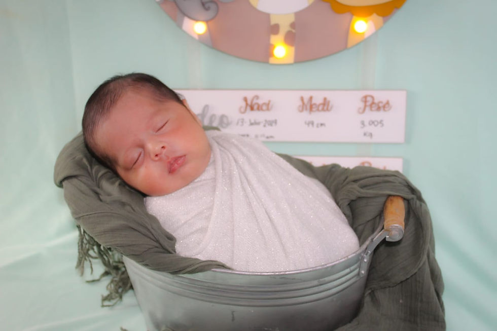 Miniatura: Colgante de maternidad de Safari para Gemelos 2