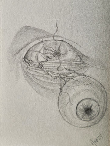 Sketch of an eyeball falling out of an eye socket.