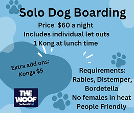 updated solo dogs 2025.png