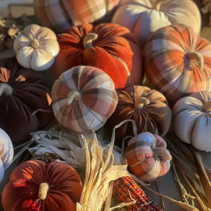 Harvest Pumpkins
