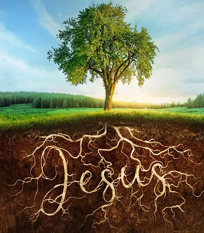 tree+with+Jesus+roots+pic.webp