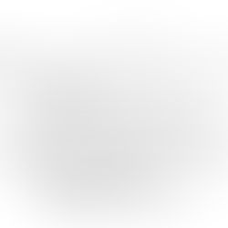 Existing Rear Elevation of Craftsman Bungalow