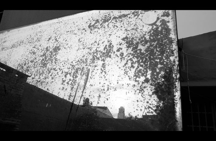 Leyes de la Reflexión y Espejos