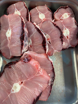 Shark Steak