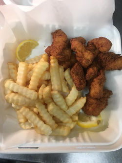 Alligator Bites