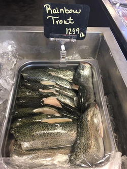 Rainbow Trout