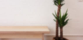 Flo Yoga Studio Bench and Plant