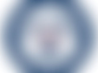 The Social Security Tax Question?