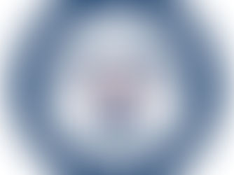 The Social Security Tax Question?