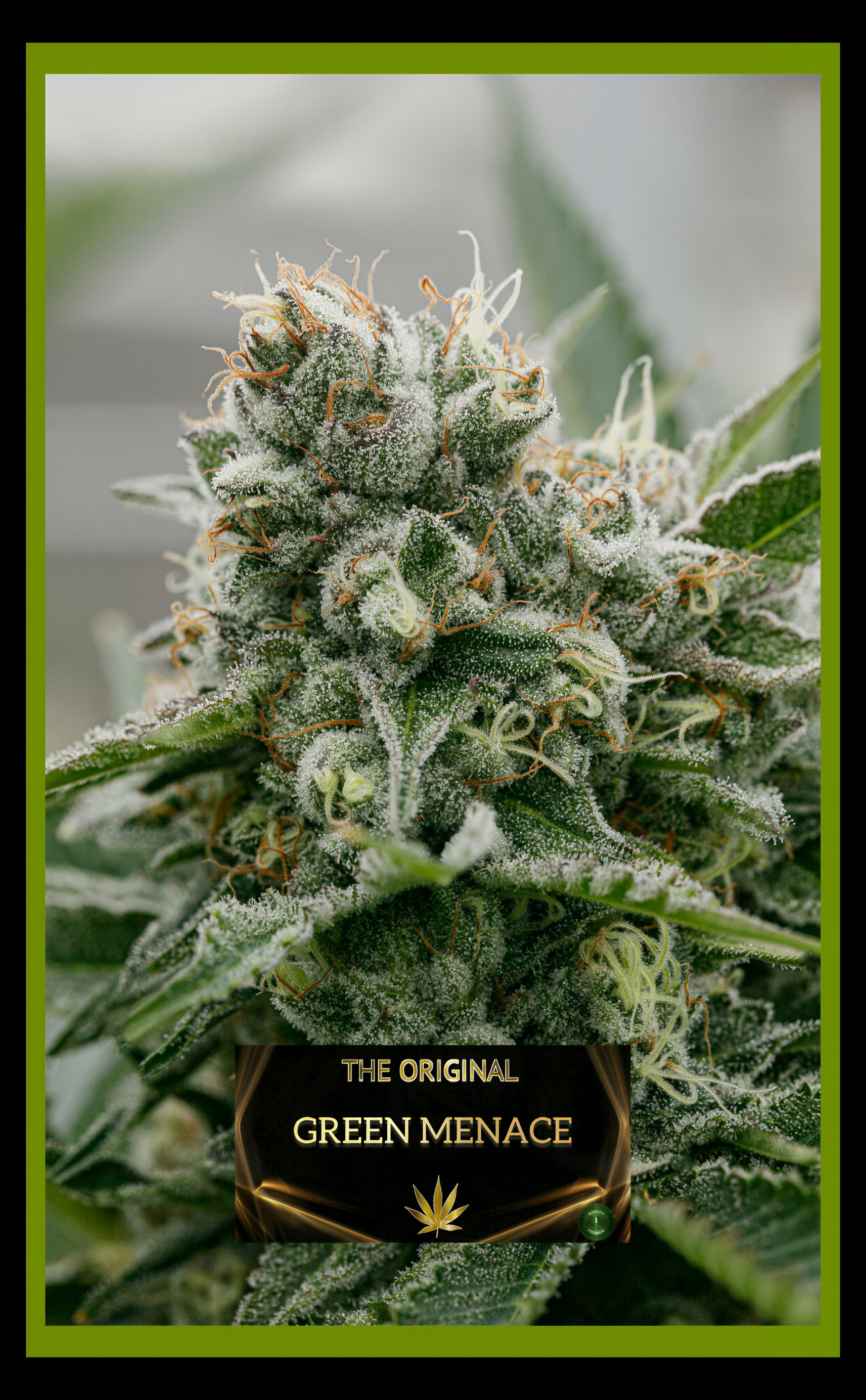 GREEN MENACE (2026)