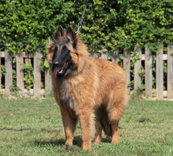 235994276_1923218494521113_5333716259879149949_n