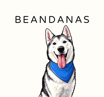 BEANDANAS.PNG