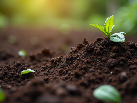Mastering Organic Gardening Basics for Sustainable Farming