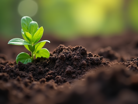 Mastering Advanced Organic Gardening Tips for Your Farm