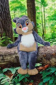 Corporate, Meet and Greet, $250 + 