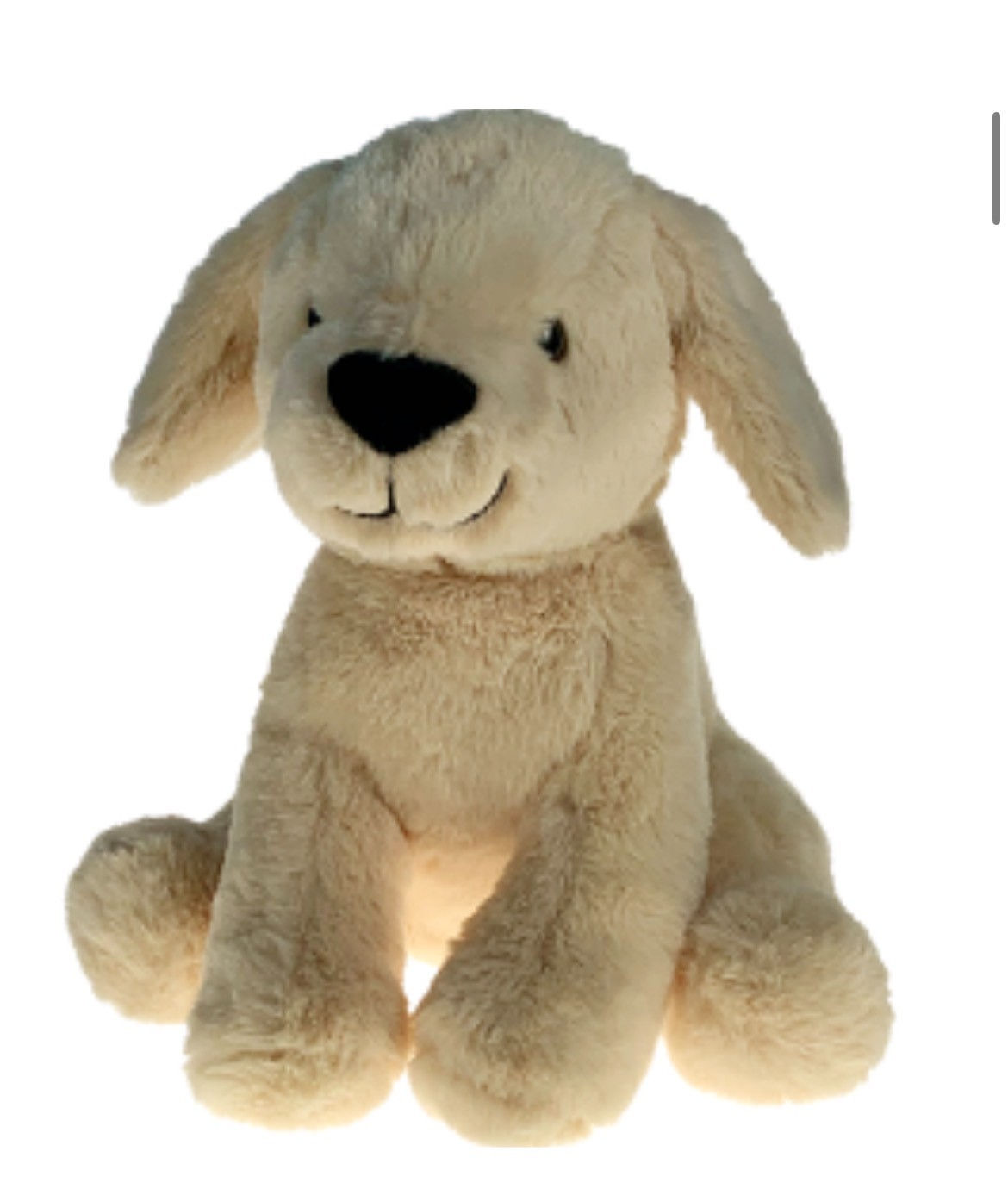 Teddy: Dog (Light Brown)