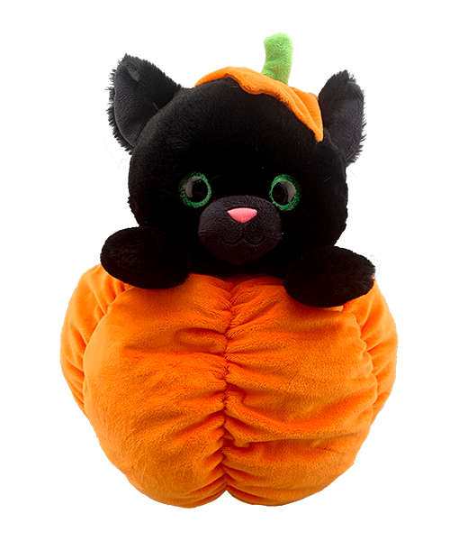 Teddy: Black Cat Pumpkin