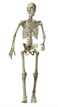 fbd951f31f52ff83f7a512d133d12cb7_w200.gif
