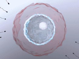 4ab496_28beecce1a794cff905b088f3a77fe04~mv2.gif