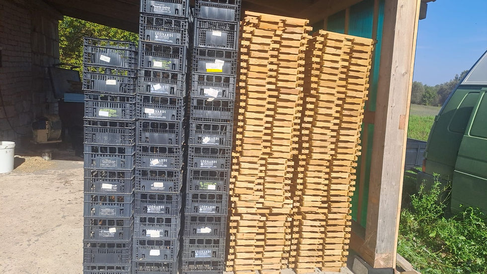 Šūnu kausēšana un kāru mazgāšana