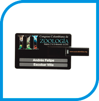 Memoria usb