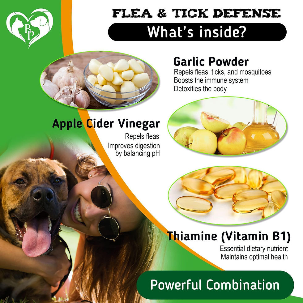 Thumbnail: Insects Prevention Chewable Pills for Dogs Natural Pest Control for Pets Dogs