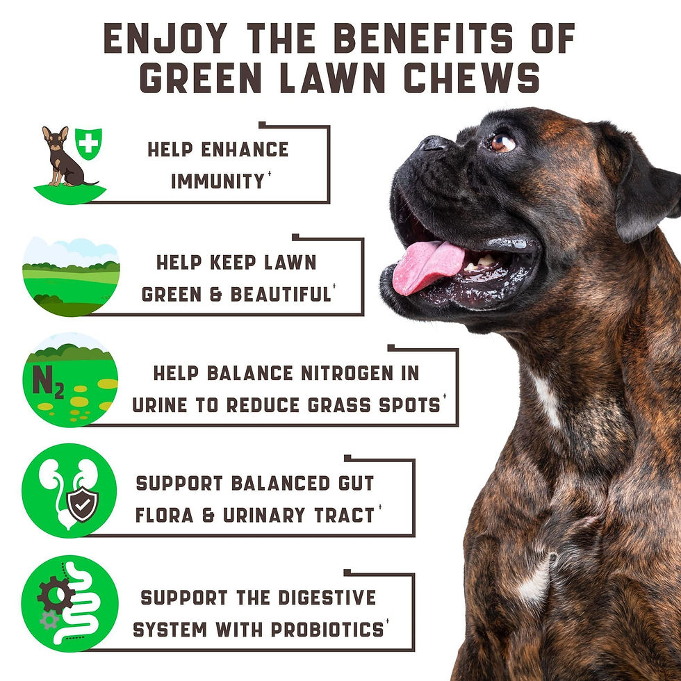 Thumbnail: Green Lawn Chews for Dogs   Cranberry ACV Digestive Enzymes   Natural Dog Urine