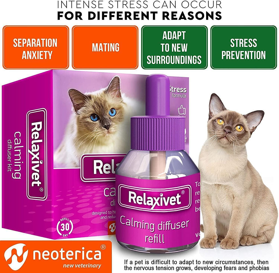 Thumbnail: Cat Calming Diffuser Pet Anti Anxiety Feline Calm Pheromones Plug In 2 Pack