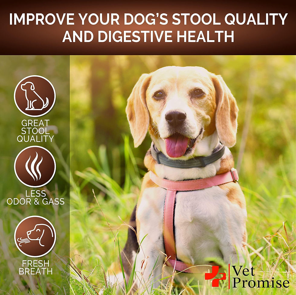 Thumbnail: Great Poop Probiotics for Dogs Dog Stool Softener High Fiber for Dogs 120 Chews