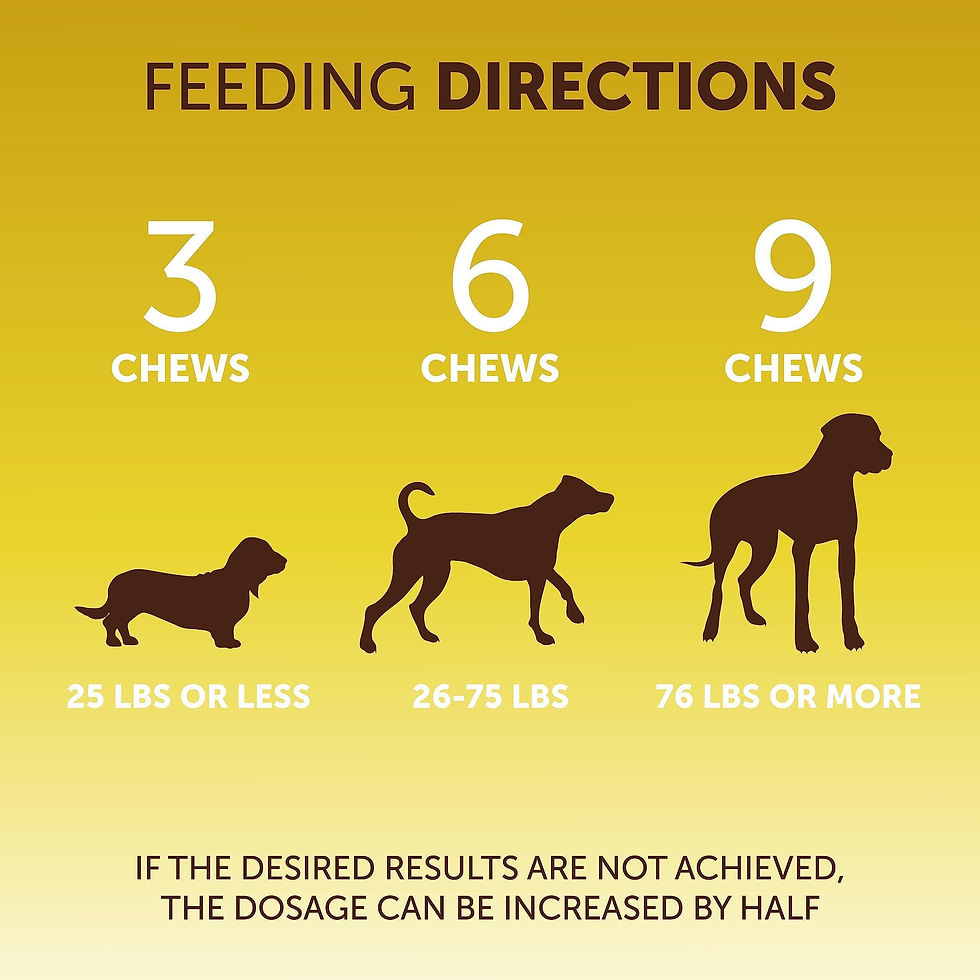 Thumbnail: Scoot Stopper Soft Chews   Fiber for Dogs   Dog Anal Gland and Digestion Support
