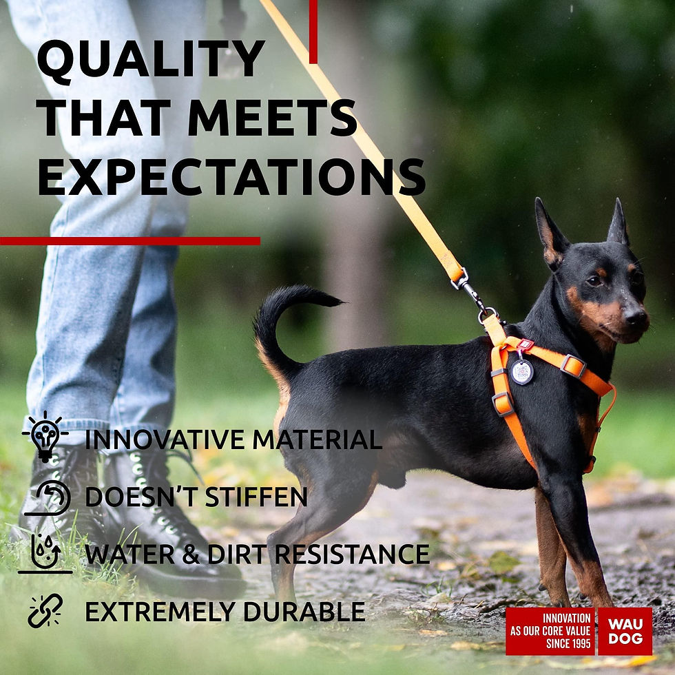 Thumbnail: Orange Waterproof Dog Leash 6 Ft x 3/5 in Anti Slip Dirt Resistant Heavy Duty