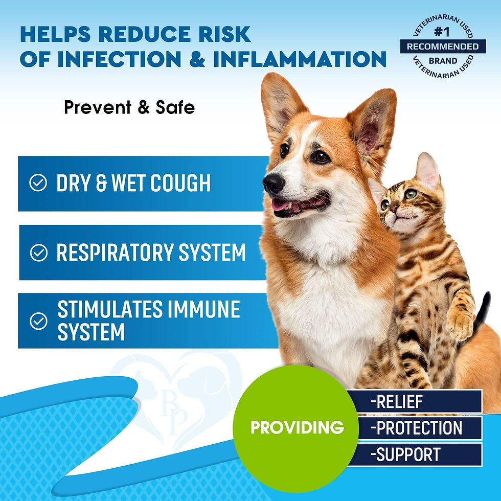Thumbnail: Kennel Cough Treatment Natural Infection Medicine for Dog Cats Cold Cough Relief