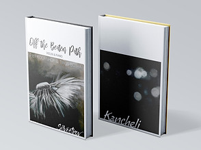Book mock up OTBP.jpg