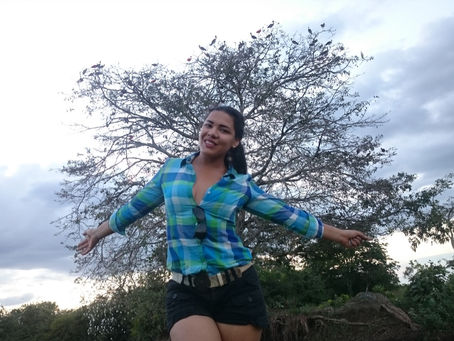 Arbol de la vida