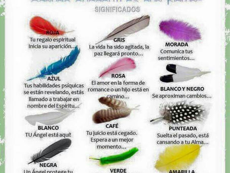Plumas: Mensaje de los angeles y tus guías espirituales