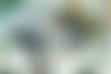 College Board Announces an Addition to Its AP Offerings. 