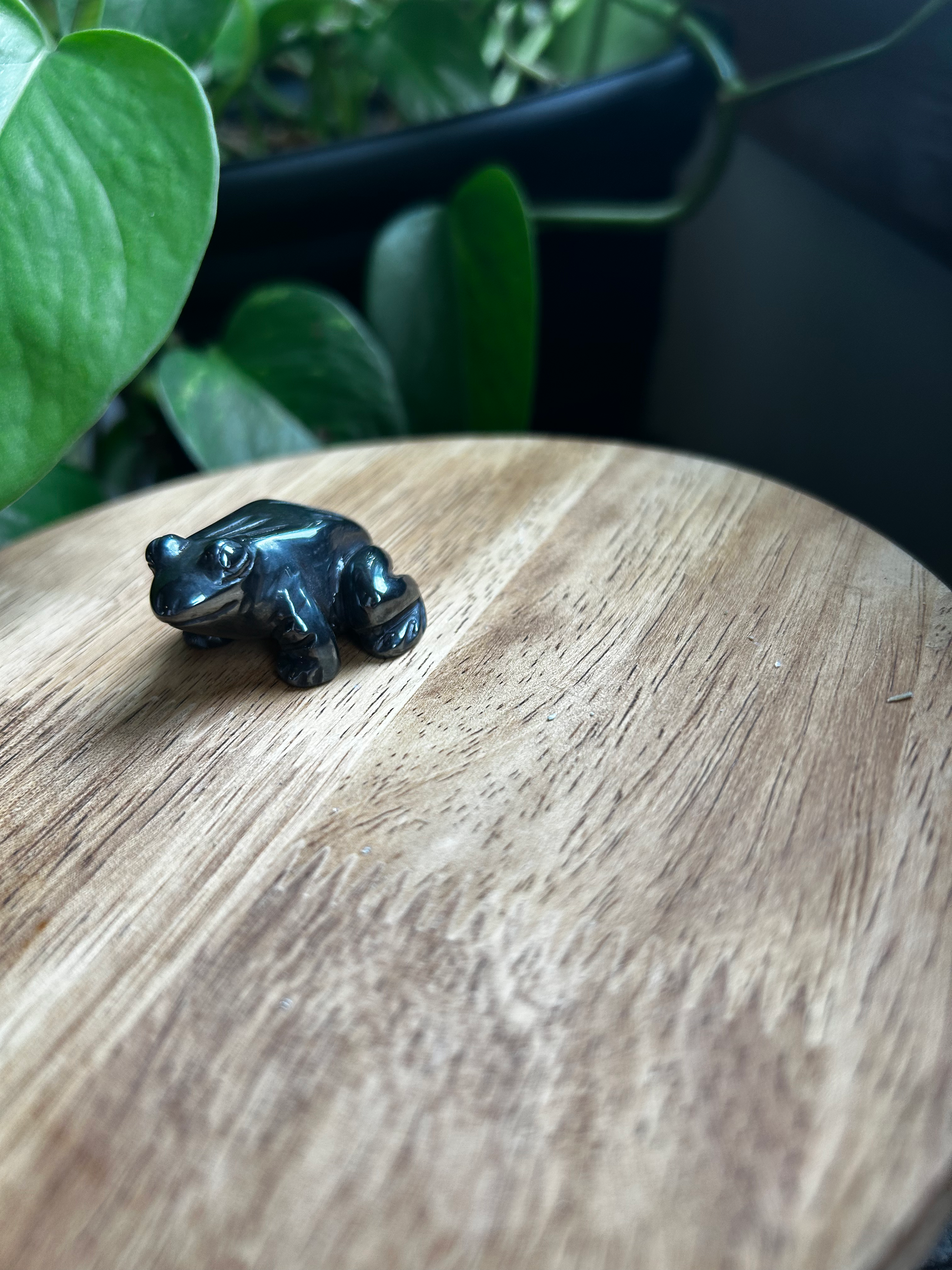 Hematite Frog