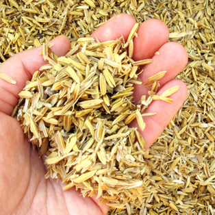 September in Piedmont: Top Events and Festivals