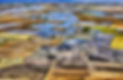 risaie-mare-a-quadretti.jpg