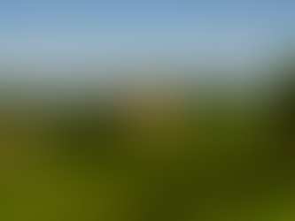 Golosaria Monferrato 2025: A Journey Through Flavors, Art and Relaxation Among the Rice Fields