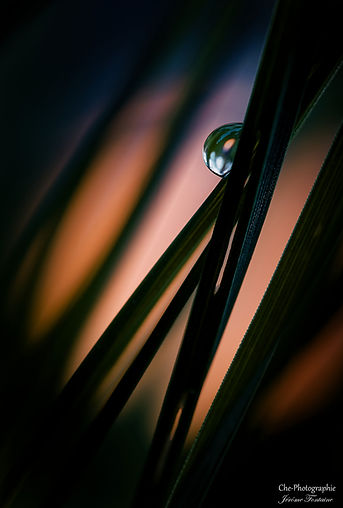 312A2357_DxO-001_DxO.jpg
