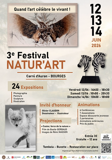Capture d’écran festival N.png