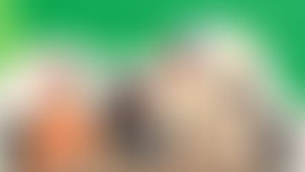 The Tech Stack Diagnostic