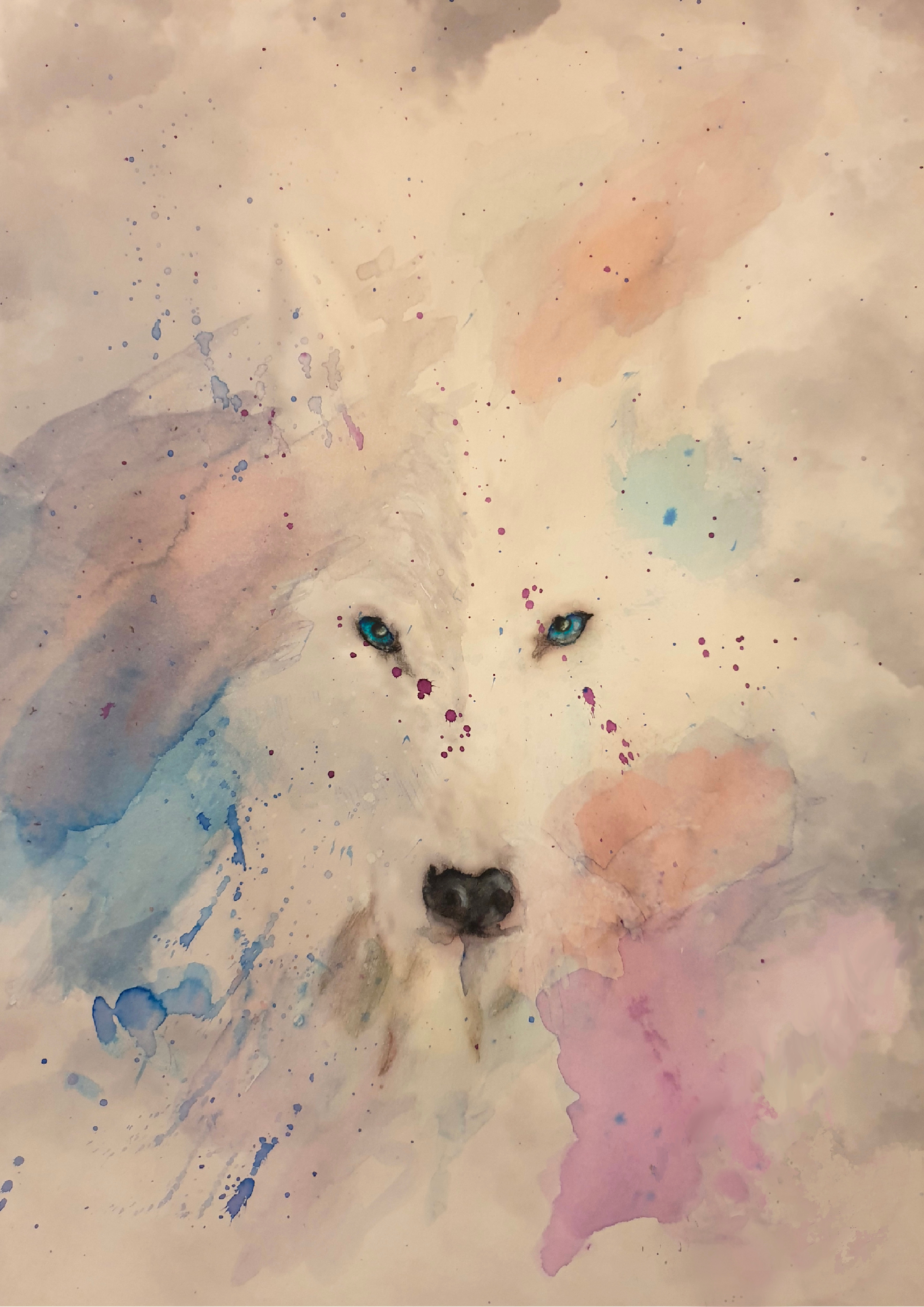 Allure Wolf