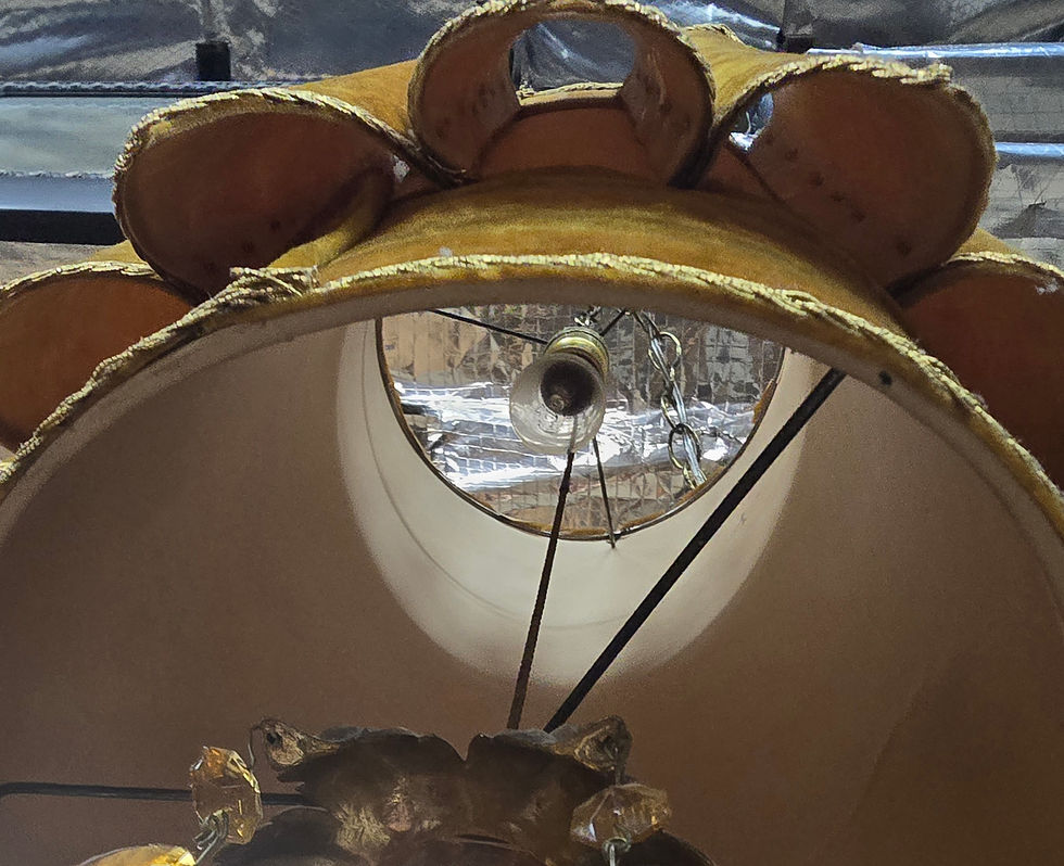 Thumbnail: MCM Crushed Velvet Swag Light