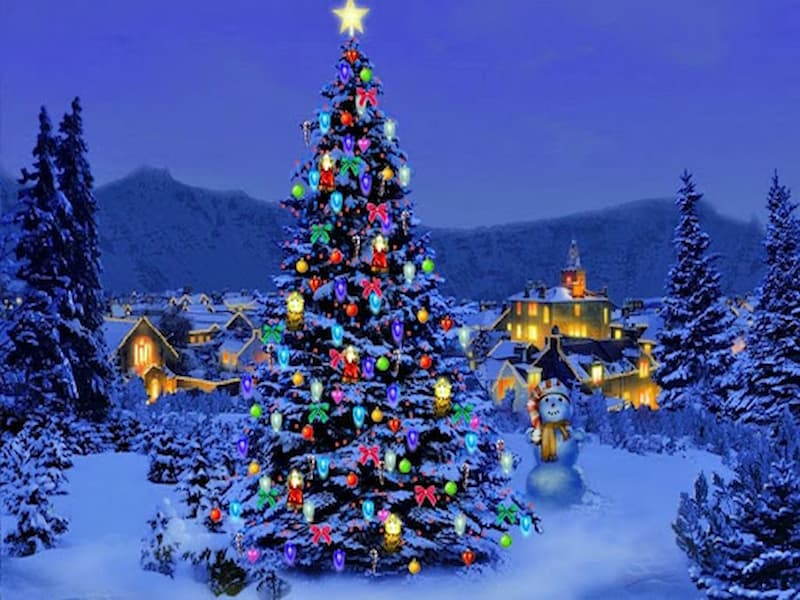 mơ thấy cây thông Noel content media