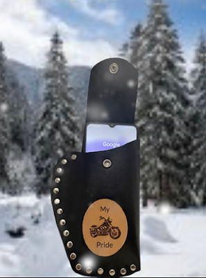 holster my pride bike.jpg