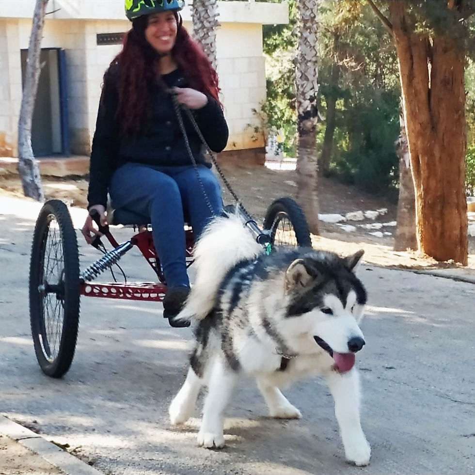 Thumbnail: Dofunit dog cart