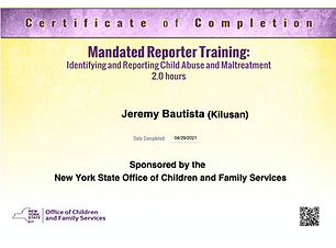 NY State - Mandated Reporter.png